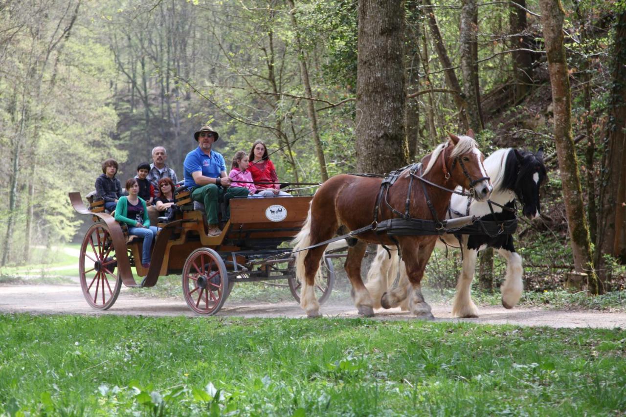 Hotel Erlebnisgastronomie Lochmuhle Eigeltingen Zewnętrze zdjęcie