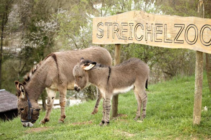 Hotel Erlebnisgastronomie Lochmuhle Eigeltingen Zewnętrze zdjęcie
